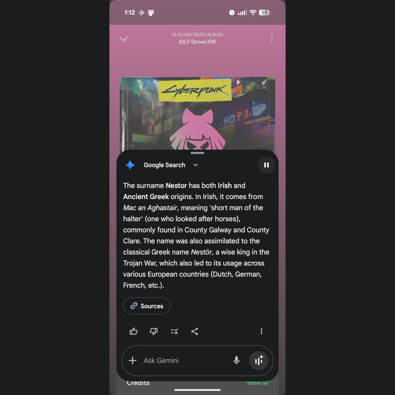 Android 16 screenshot of Nestor as described by Google's Gemini Photo